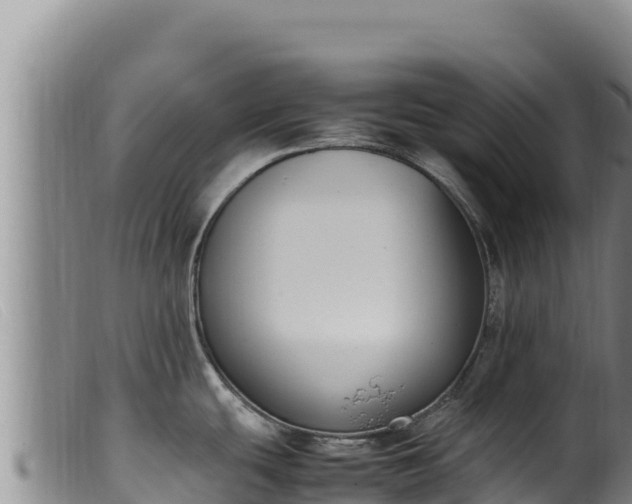 X0000099551439200805231140