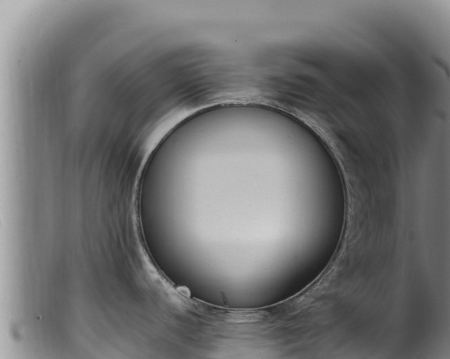 X0000099551440200805231140