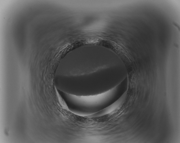X0000099551441200805231140