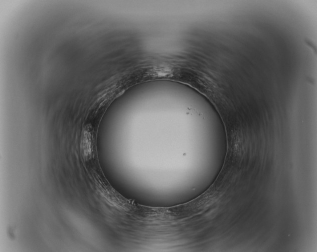 X0000099551442200805231140