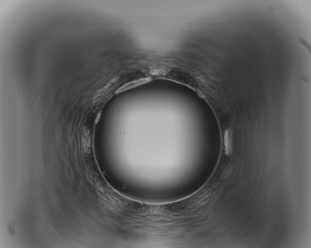 X0000099551443200805231139