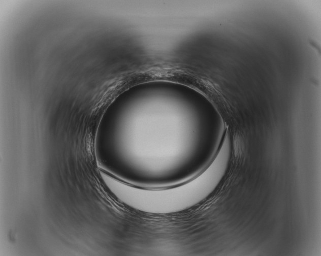 X0000099551444200805231139