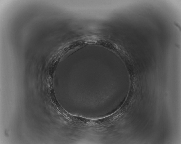 X0000099551445200805231139