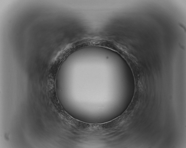 X0000099551447200805231139