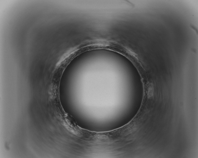 X0000099551448200805231139
