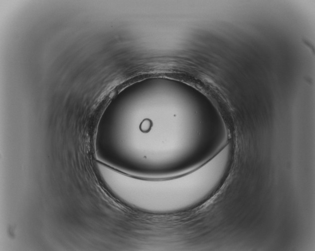 X0000099551449200805231139