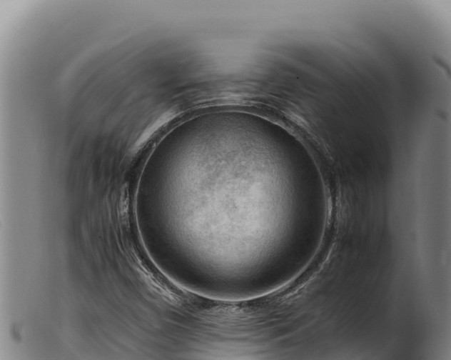 X0000099551450200805231139