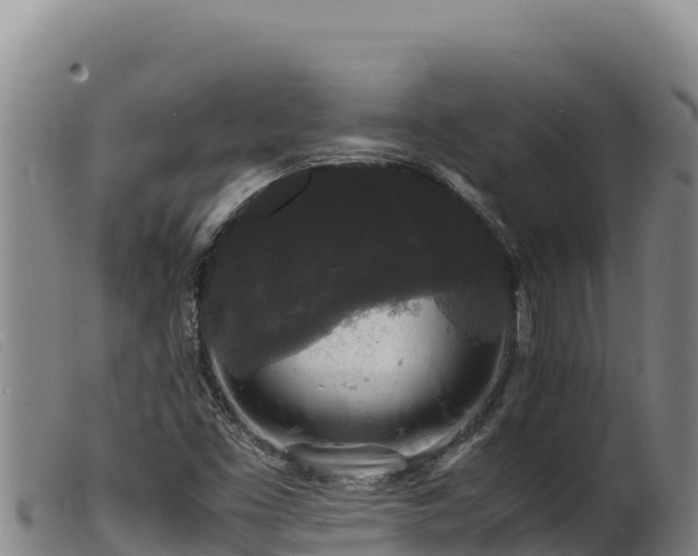 X0000099551453200805231139