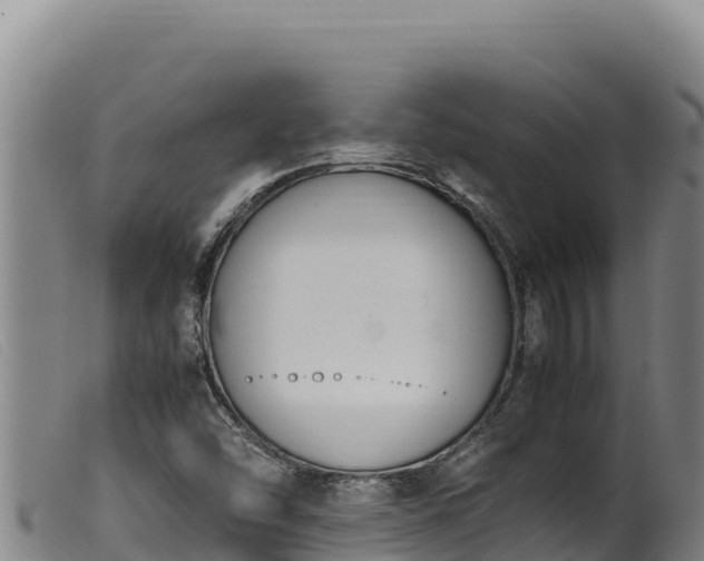 X0000099551454200805231139
