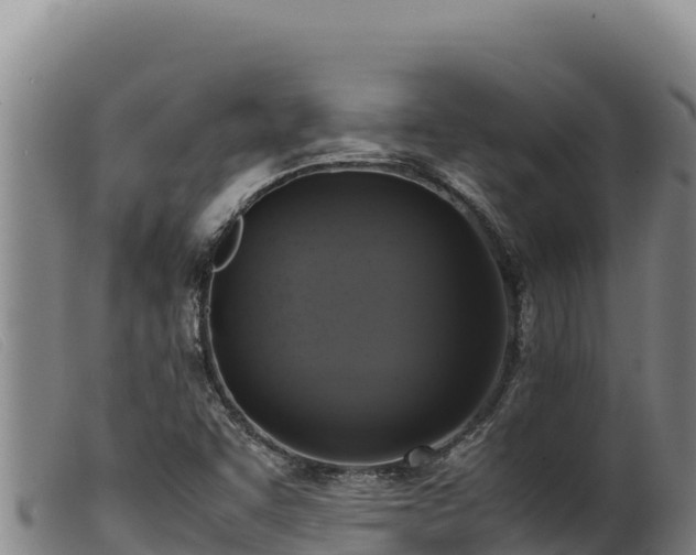 X0000099551455200805231139