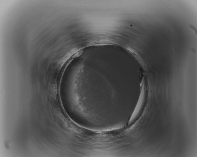 X0000099551457200805231139