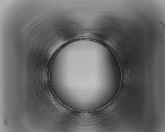 X0000099551458200805231139