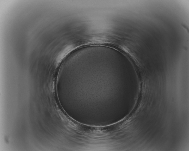 X0000099551459200805231139