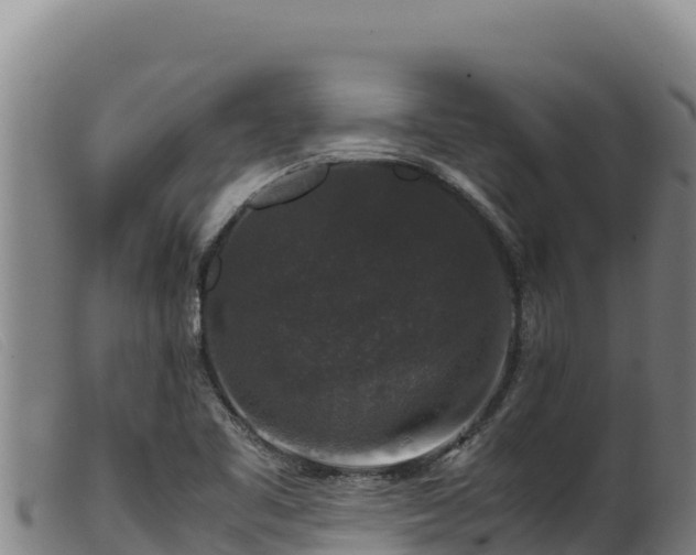 X0000099551461200805231139