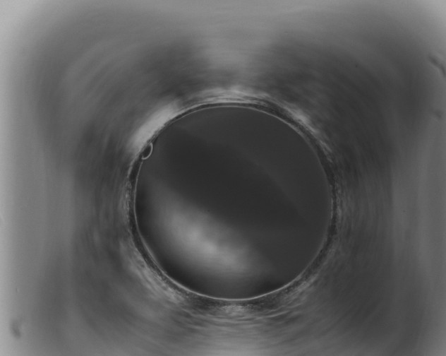 X0000099551463200805231139