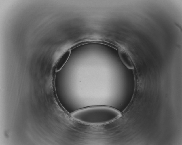 X0000099551464200805231139