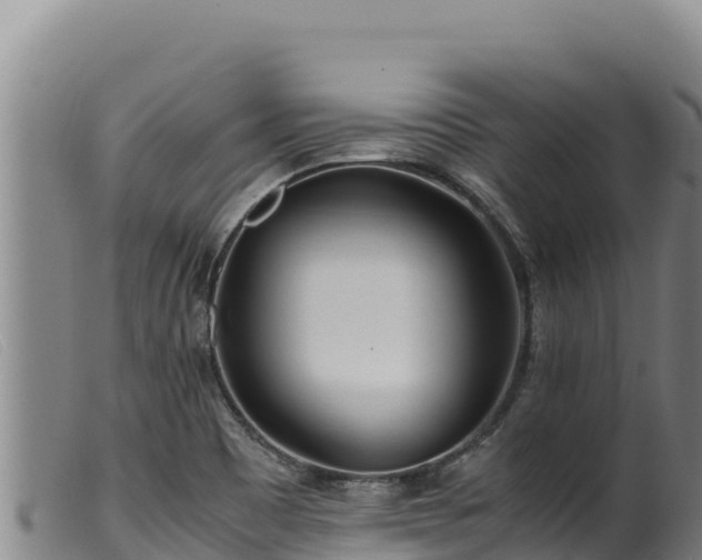 X0000099551465200805231139