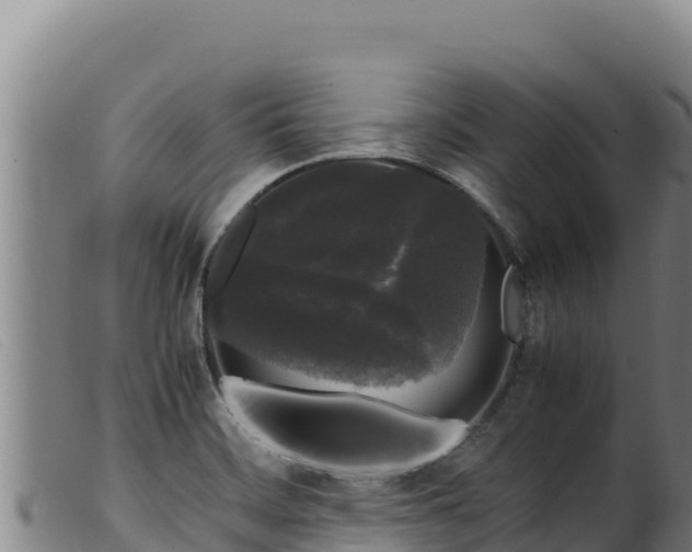 X0000099551468200805231139