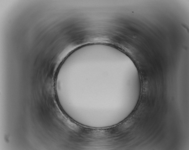 X0000099551470200805231139