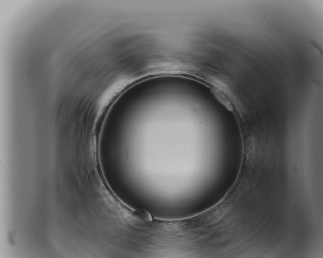 X0000099551472200805231139