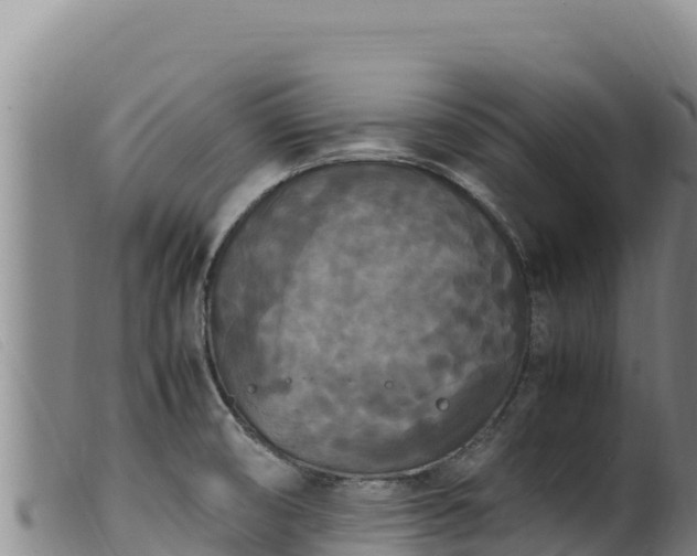 X0000099551474200805231139