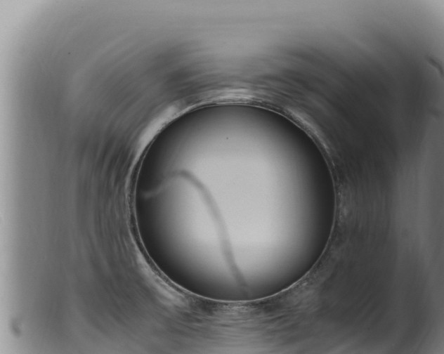 X0000099551475200805231139