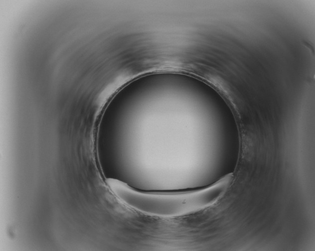 X0000099551480200805231139