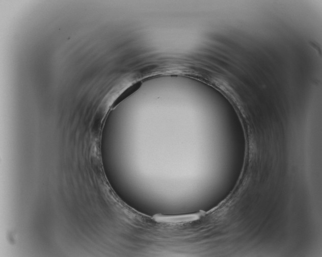 X0000099551481200805231139