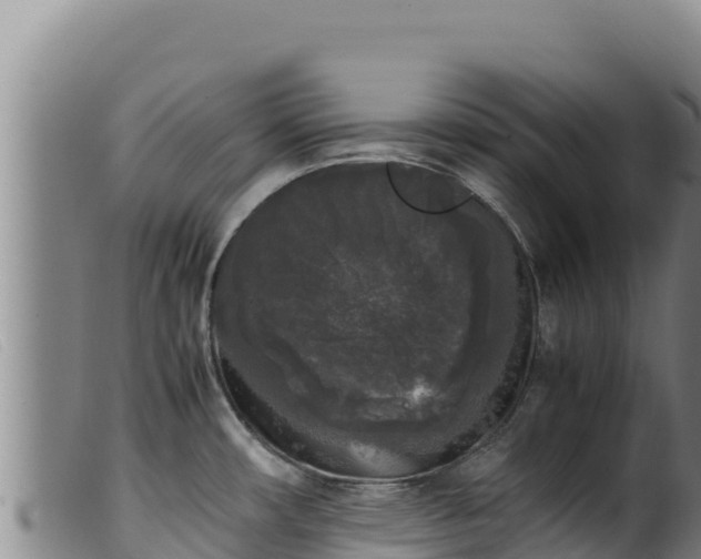 X0000099551482200805231139