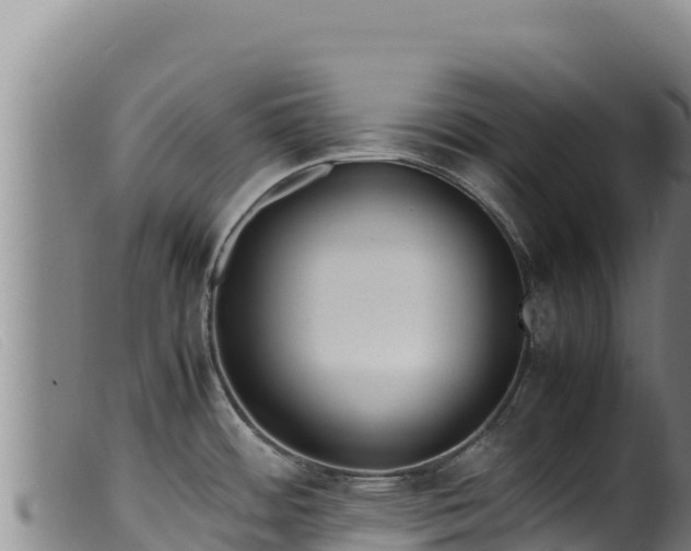 X0000099551484200805231139