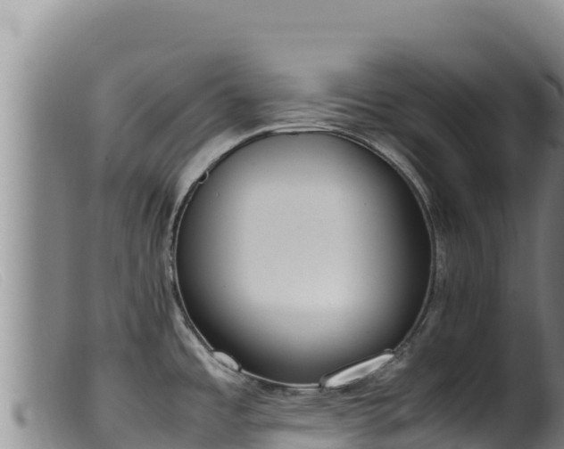 X0000099551485200805231139