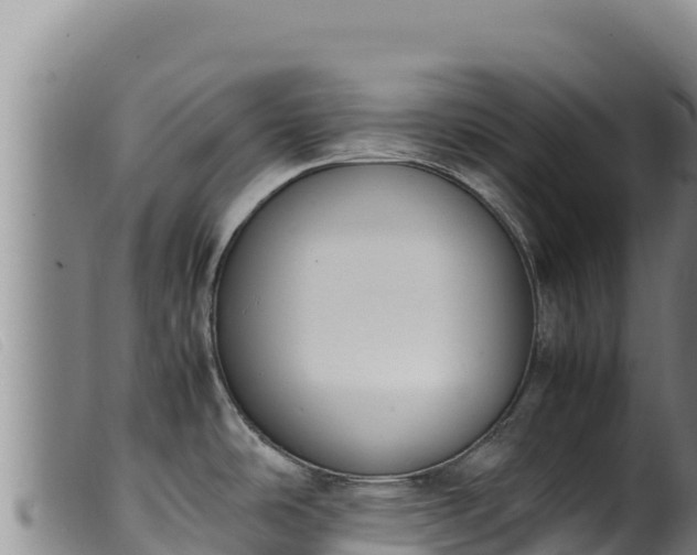 X0000099551486200805231139