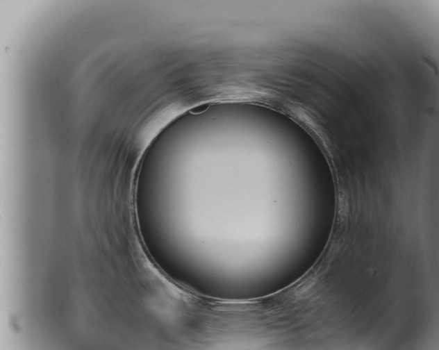X0000099551487200805231139