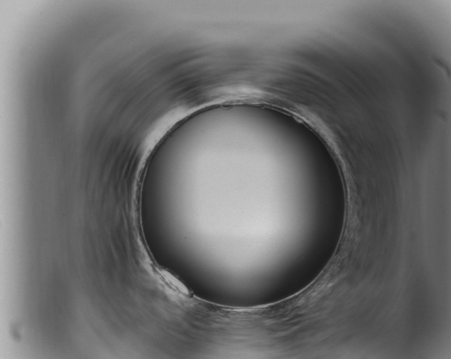 X0000099551488200805231139