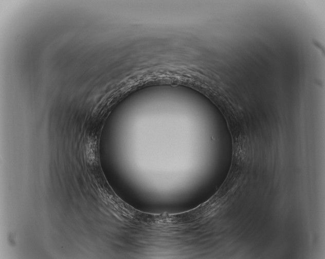 X0000099551490200805231138