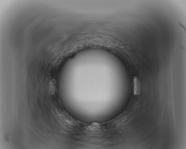 X0000099551491200805231138
