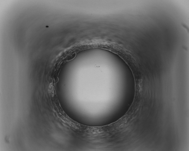 X0000099551493200805231138