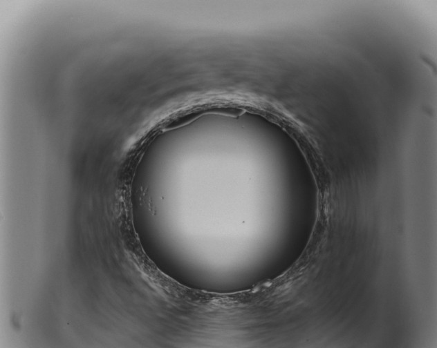 X0000099551496200805231138