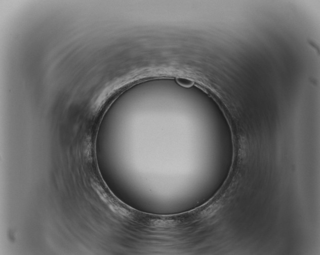 X0000099551499200805231138