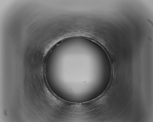 X0000099551500200805231138