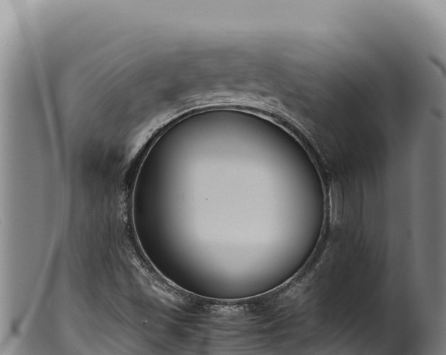 X0000099551501200805231138