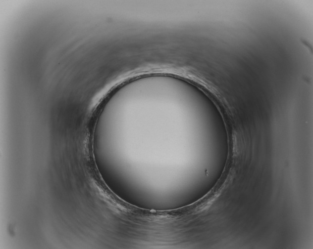 X0000099551502200805231138