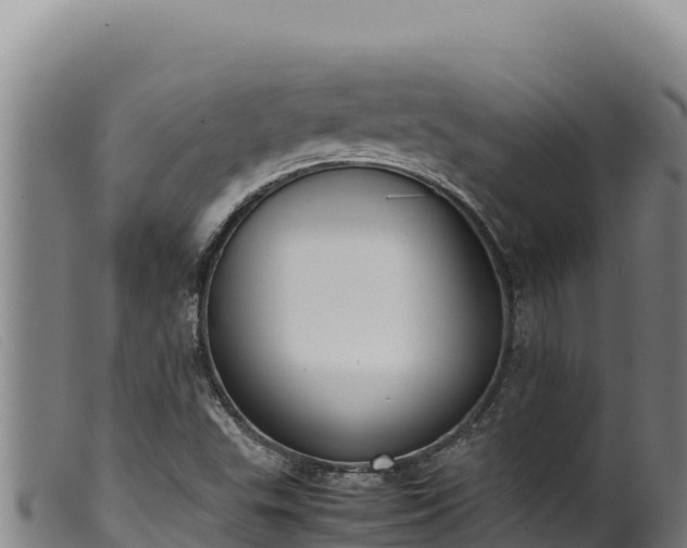 X0000099551503200805231138