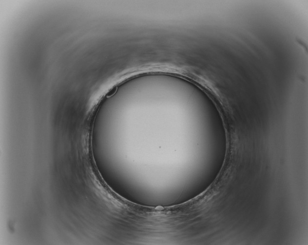 X0000099551504200805231138