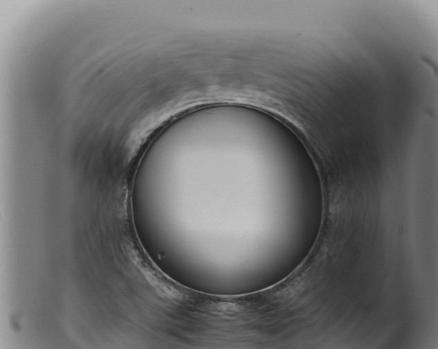 X0000099551507200805231138