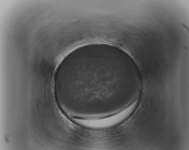X0000099551508200805231138