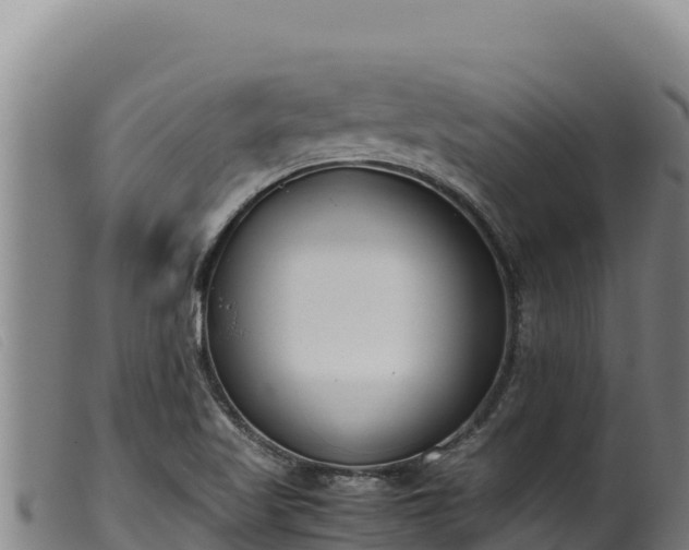 X0000099551509200805231138