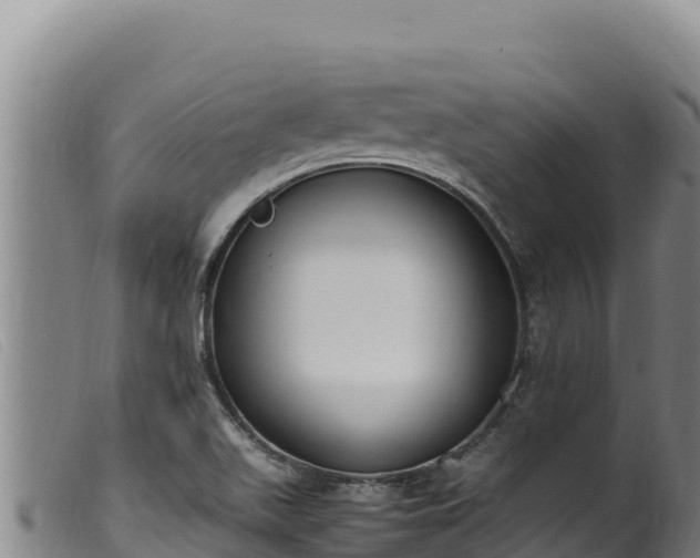 X0000099551511200805231138