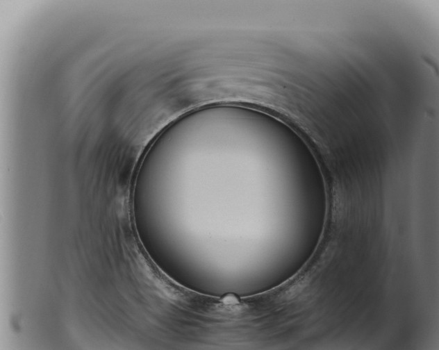 X0000099551513200805231138