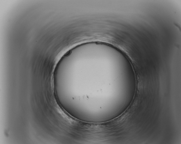 X0000099551516200805231138